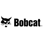 Bobcat